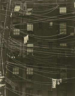 magictransistor:  Ralph Steiner  Untitled (Clothesline), New York City, 1923.