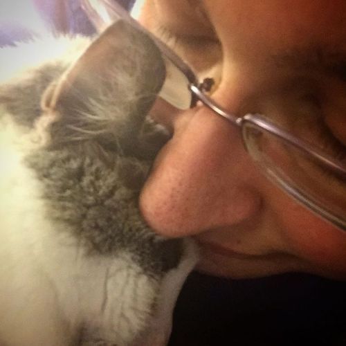 chocolatequeennk:When your kitty asks for kisses. #catsofinstagram #smokey #cats