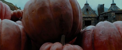 Plentiful pumpkins piled outside the Groundskeeper’s Hut at Hogwarts School of Witchcraft & Wiza