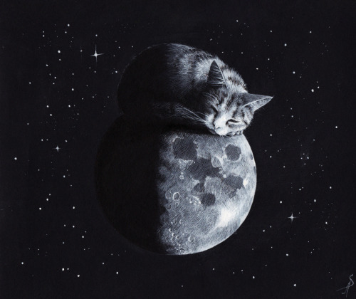 Anastasia Sevastyanova aka Anastasis (b. Almaty, Kazakhstan, based Munich, Germany) - Moon Cat (In a