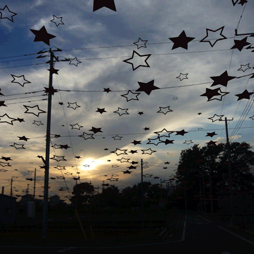 Memories of a wasted life