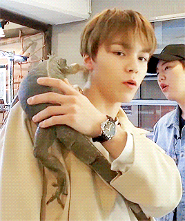 sneezes:vernon and his reptile friends.This concept is the best