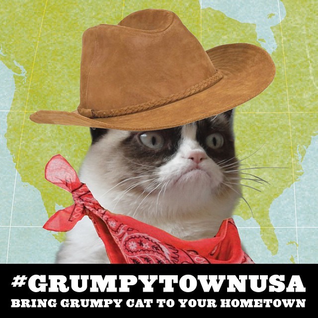 Bring Grumpy to your town! Details to #GrumpyTownUSA at GrumpyTownUSA.com #GrumpyCat