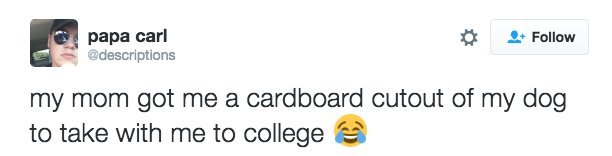 thecommonchick:  I NEED THIS 😂😂