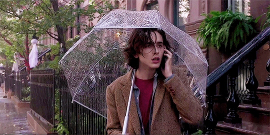 tchalametgifs:Timothée Chalamet in A Rainy Day in New York (2019)