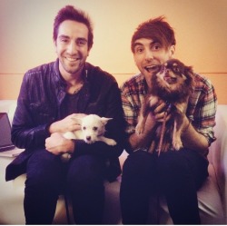 sharkvsworld:&ldquo;They as for a puppy they get a puppy because they’re all time low&rdquo;