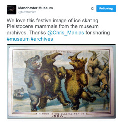 fuckaspunk:english-history-trip:  elodieunderglass: mattieartemis:  OH MY GOD LOOK AT THIS POSTCARD FROM 1880 IN THE MANCHESTER MUSEUM ARCHIVES “festive image of Pleistocene mammals” “a rink in the glacial period” THIS IMAGE HAS SINGLE-HANDEDLY