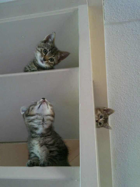 Hello?!