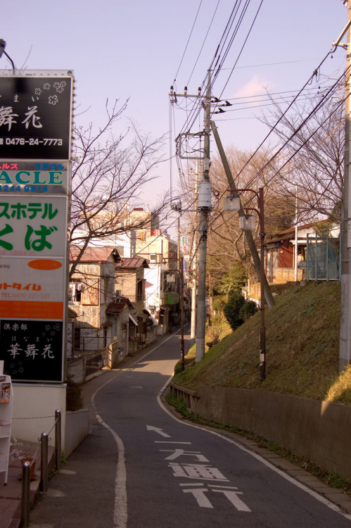 narita alley A sloping side street leading to Narita-san from the train station.By : non-euclidean p