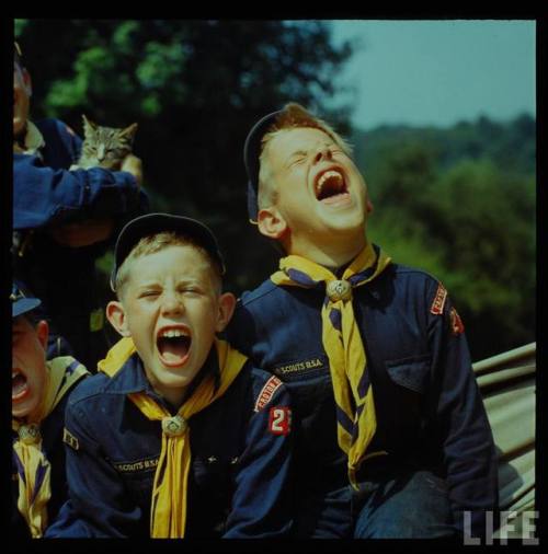 Cub Scouts and cat(Yale Joel. n.d.)