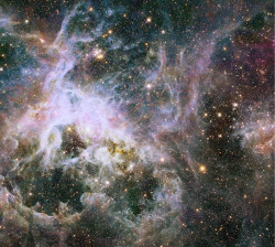 just&ndash;space:  Hubbles image of the Tarantula Nebula with an estimate 800,000 stars js