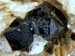 underthescopemin:  Bixbyite Mottled bixbyite with unusual crystal morphology, cuboctahedral with further mods to the octahedral faces.  Photo and specimen: Steve Stuart.