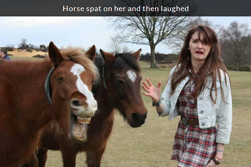 the-absolute-funniest-posts:i love that horse