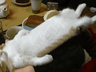 yaslicocukk:sadfghj