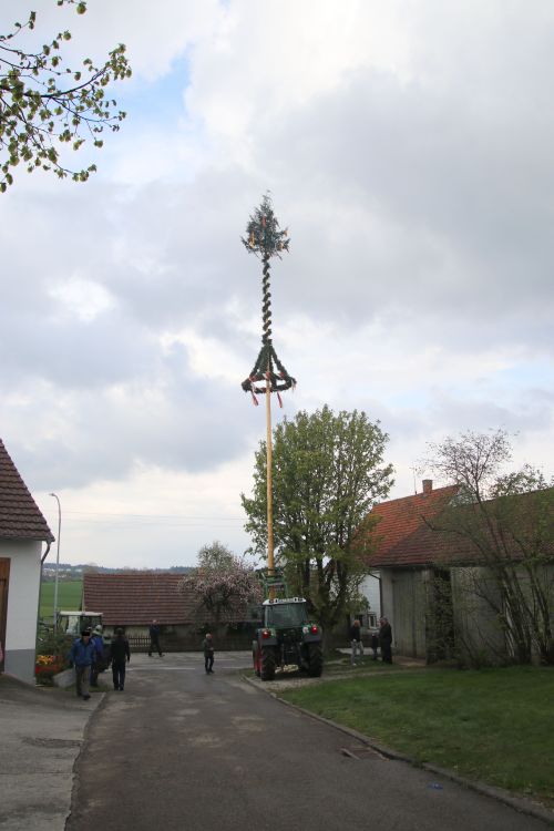 Maibaumstellen 2022 Put up the maypole (good old tradition, read Wikipedia)