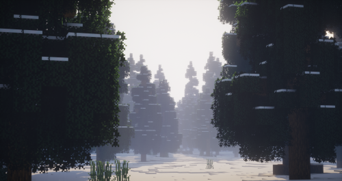 Frosted Forest ~A small wintery forest.