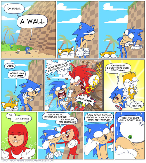 averyshadydolphin:  spiritsonic:  nuttyrabbit:  lightdax:  helpimreadingsoniccomics:  digikate813:  ladyodsinends:  thankyoucorndog:  if you’re ever feeling down about your fanart just remember that tyson hesse, the guy who did that ridiculous sonic