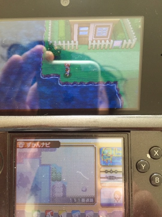 My Pokemon Xy Tumblr Blog Tumgir