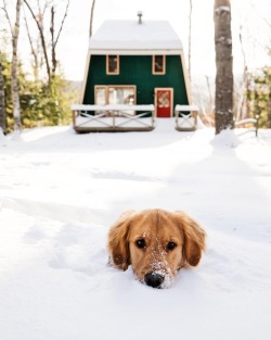 wild-cabins:  Kiel James Patrick