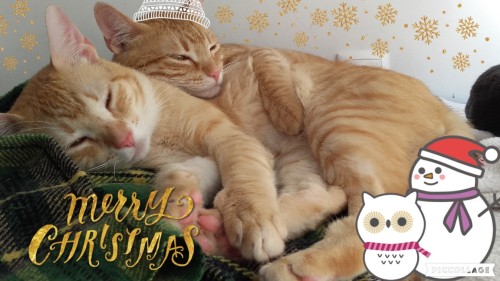 keys-2the-kingdom: Merry Christmas from me and my two little boys