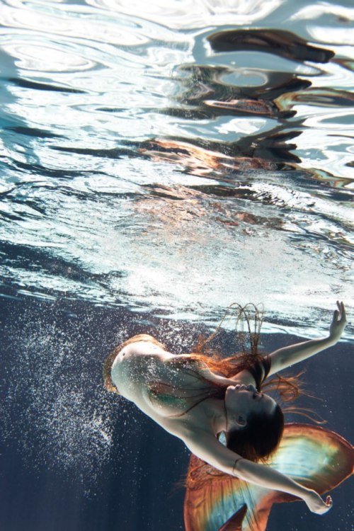 mermaidsirena:  Ambre Saint-Clare a talented Mermaid Performer this week released several new photos from a beautiful photo-shoot she had with Servane Roy Berton, more photos can be seen on her Facebook Page. 