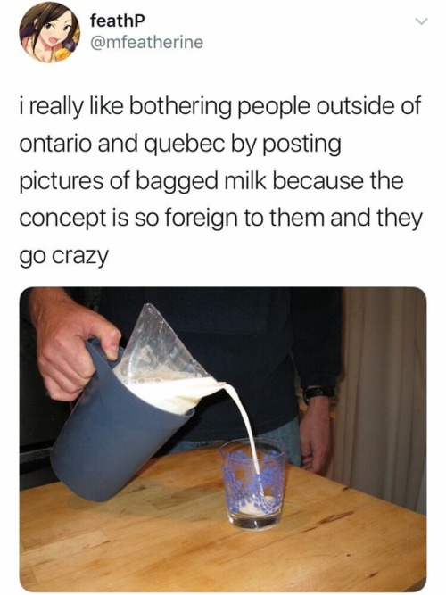 carnival-phantasm:  the-defiant-pupil:  mojave-red:  rantingmacaron:  mojave-red:   more-snatched-photos: It doesn’t make us go crazy. We just don’t understand the why. No one has ever satisfactorily explained why bagged milk is better than milk in