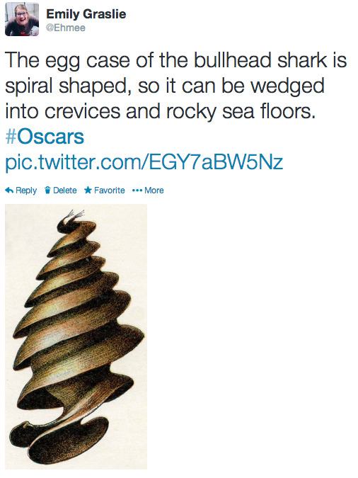 edwardspoonhands:  thebrainscoop:  ICYMI my live-tweeting of the Oscars tonight 