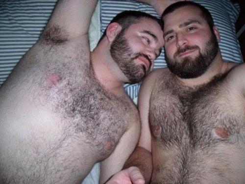 superbears:  Yummy Dark Furs 