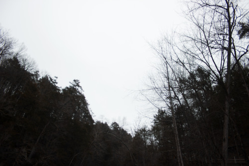 Foggy Mornings in the Mountains adult photos