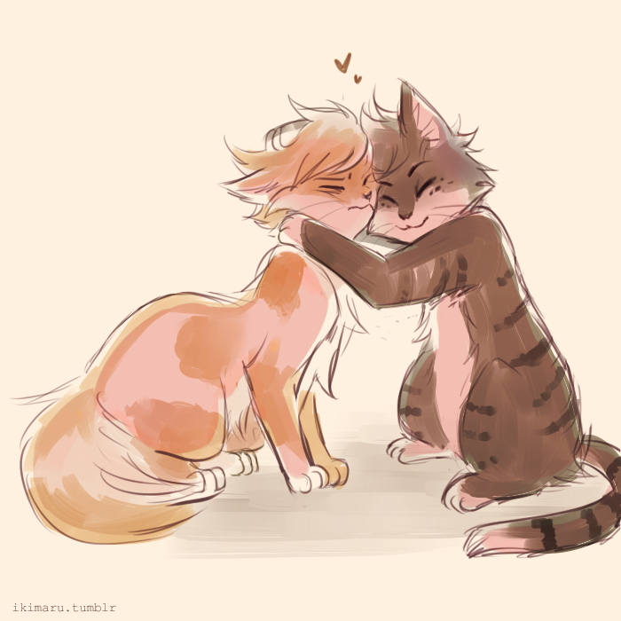 Jake you&rsquo;re messing up his mane somebody asked for dirkjake cats ahah