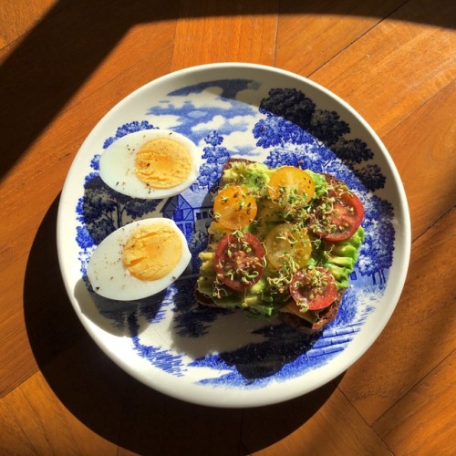 Boiled egg and low carb seed toast with avocado, cherry tomatoes + homegrown clover sprouts