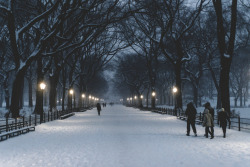 h4ilstorm:  Central Park Snow (by Mondayne)