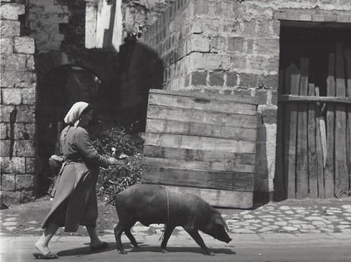 marckald:Kees Scherer     Calabrië  ,  Italy  1960-1965 