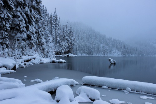 burningmine:West Foss Lakes, December 2019