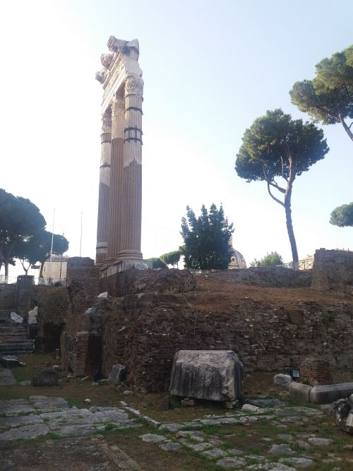 Roman Calendar  - September 26, Dies Natalis for the temple of Venus GenetrixCaesar vowed the temple