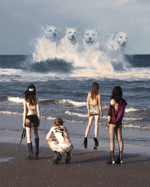Dogs Island On Translight MagazineIssue 0 Undeath