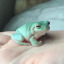 frogsandsadness