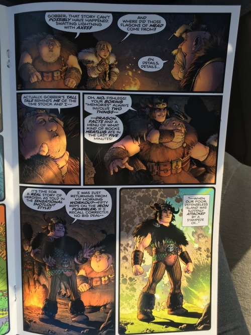 graphrofberk: chiefhiccstrid: HERE IS THE COMIC YOU GUYS!!! Sorry about the quality but I just could