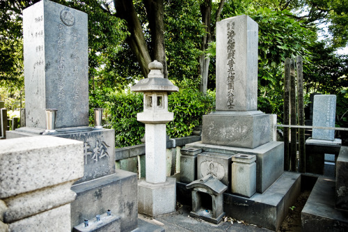 Yanaka Cemetery Tokyo / 2016 / Sony RX100m3