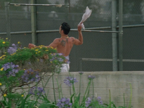 pierppasolini: The body of a young man was found floating in a jacuzzi. Hustler White (1996) // dir
