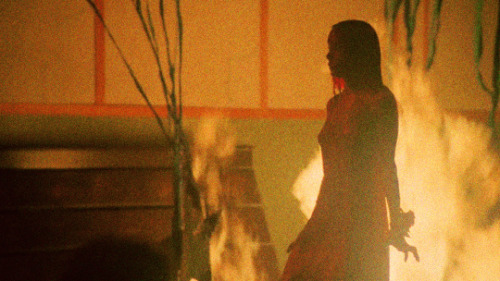 cersielannisters:  Carrie (1976) dir. Brian adult photos