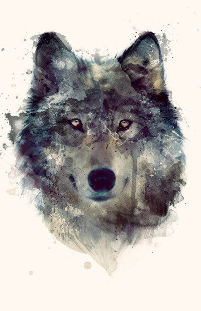 escapekit:  Beautiful Illustrations of Amy Hamilton 