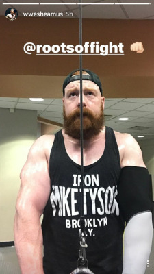 deidrelovessheamus:  Sheamus pic on IG story.