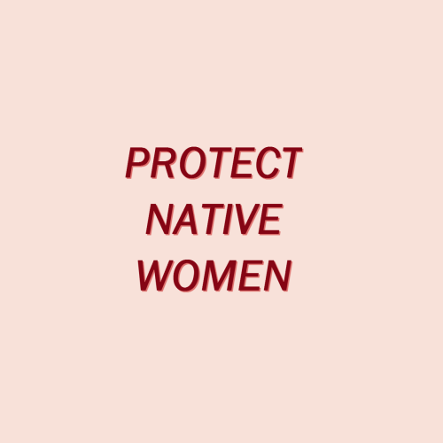 renaissancepalette: Justice for Missing and Murdered Indigenous Women