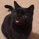 chubbymarshies - ʸᵒᵒⁿᵍⁱ ᵖᵒᵒⁿᵍⁱ