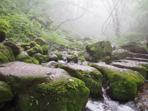 Mitake Summer after rain by cata_angel999