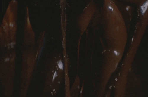 Smothered and Covered