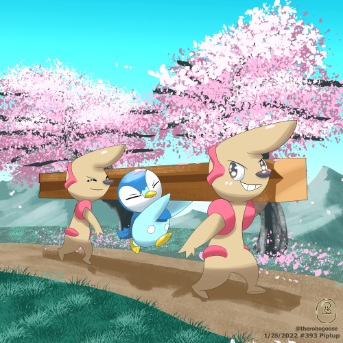 Piplup helps with the village construction.