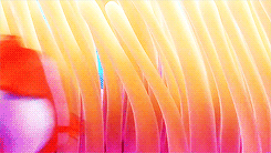 isolements:  an unending list of my favorite films » Finding Nemo (2003)  I have