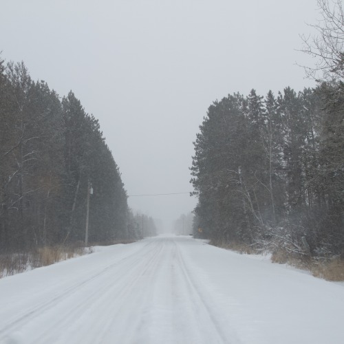 highways-are-liminal-spaces: Moodboard for winter in the north woods of Minnesota for @viridianchron